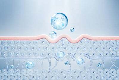 Collagen for Skin: Top 7 Benefits
