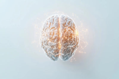 How To Improve Cognitive Function, Per Science