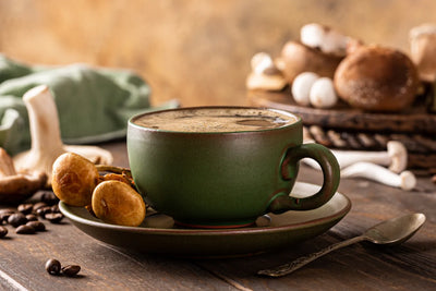 Mushroom Coffee vs. Regular Coffee: A Complete Comparison