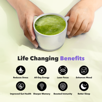 Hands holding a white cup of green tea showcasing 10-Pack of Mushroom Matcha+ with health and energy benefits icons.