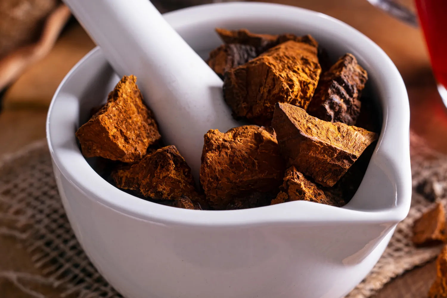 Close-up of dried chaga mushroom chunks in a white mortar with pestle showing rust-colored rough texture on a burlap table