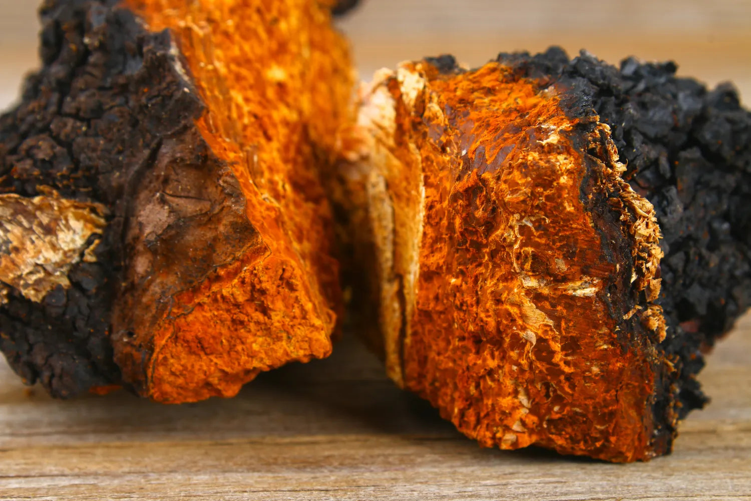 Close-up of split chaga mushroom showing bright orange porous interior and charred black exterior on a wooden surface