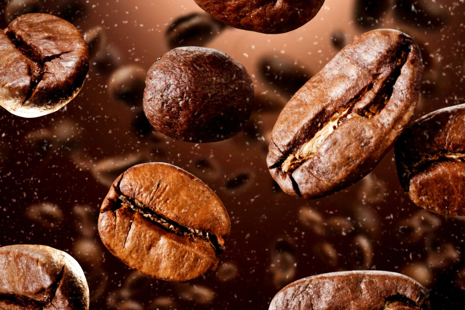 Close-up of roasted Arabica coffee beans showing cracked surface texture and rich brown color against a blurred brown background
