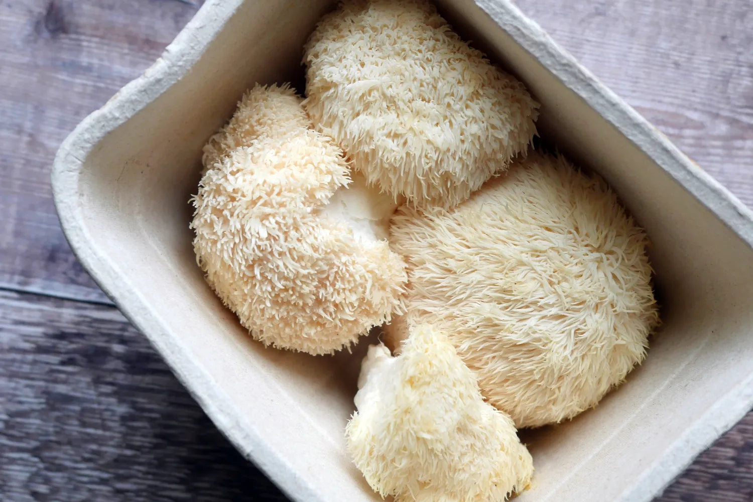 Top-down close-up of three lion’s mane mushrooms showing their shaggy white spines in a cardboard tray on a wooden surface