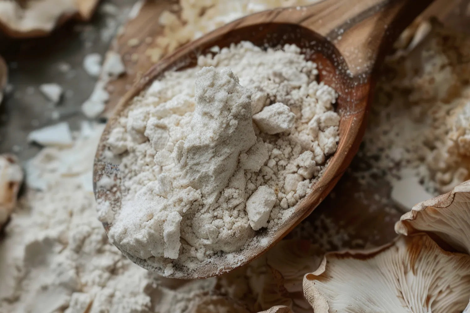 Close-up of a wooden spoon heaped with pale mushroom powder showing its fine, crumbly texture with oyster mushroom caps in the background