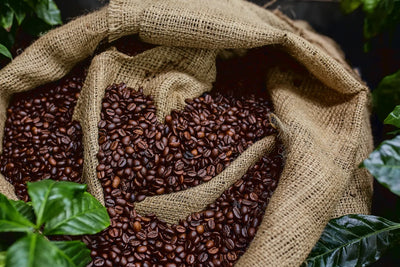 6 Key Benefits of Arabica Coffee