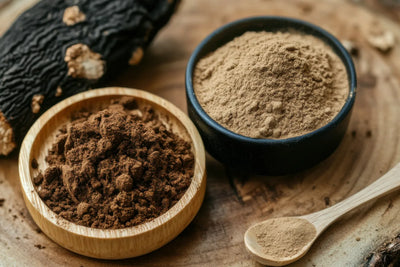 Lion's Mane and Chaga: 5 Benefits of Taking Them Together