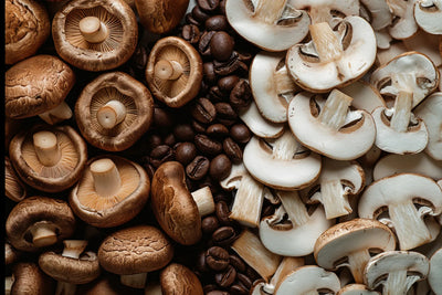 What To Look For in Mushroom Coffee: A Buying & Quality Guide