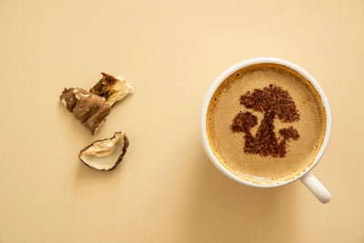 Mushroom Coffee