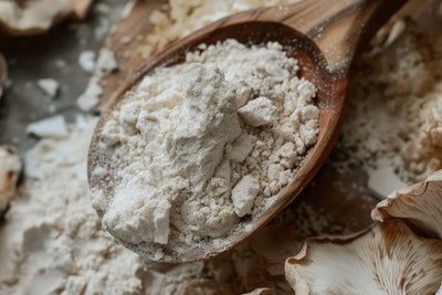 Liquid vs. Powder Mushrooms: Which Gives You More Benefits?