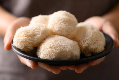The Origin and History of the Lion's Mane Mushroom