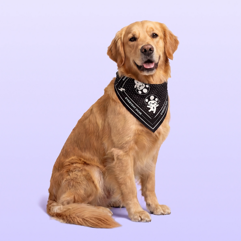 Golden retriever wearing a black patterned bandana with skull illustrations while sitting against a soft lavender background