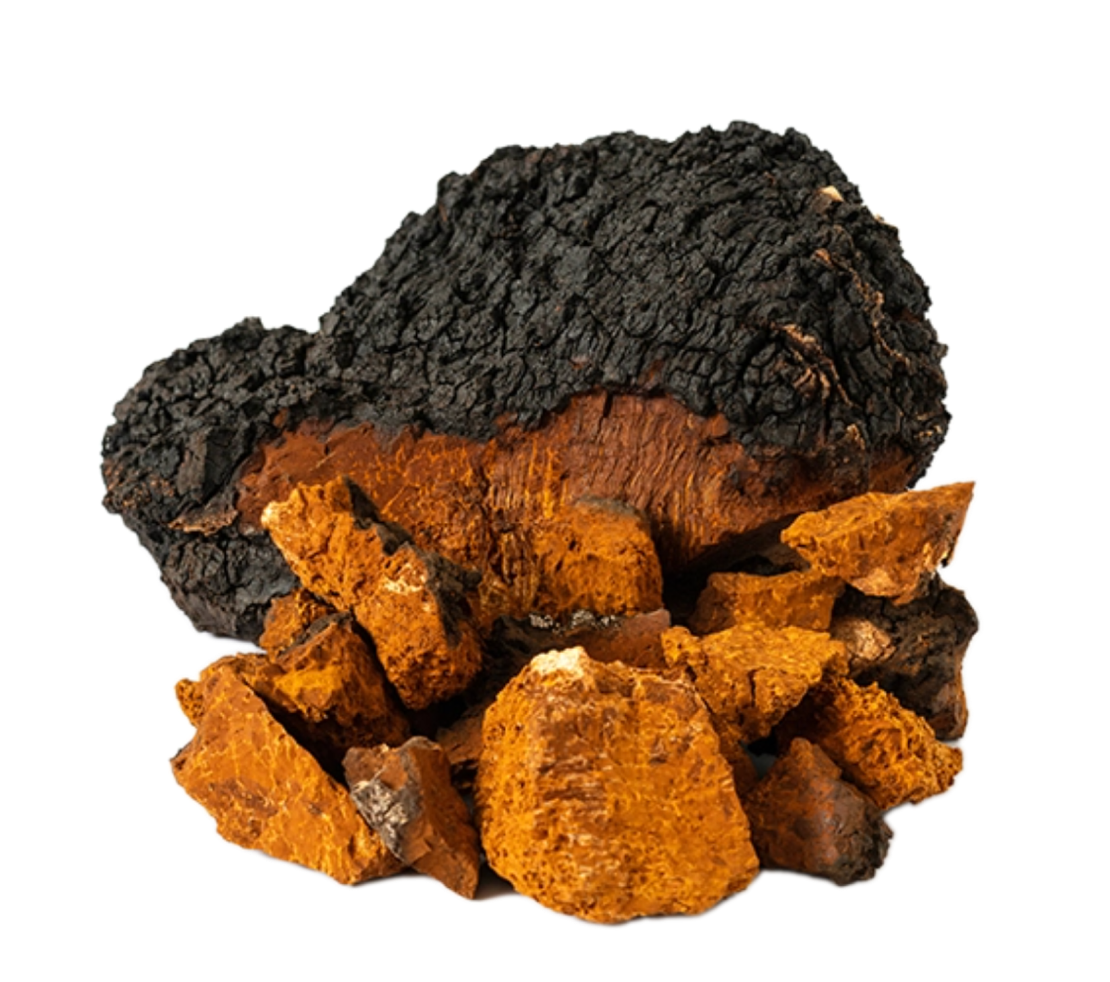 Image of Chaga Mushroom