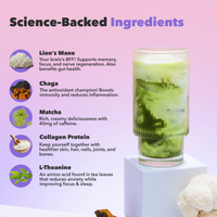 Mushroom Matcha ingredients shown with glass of green drink featuring Lions Mane, Chaga, Matcha, Collagen and L-Theanine benefits