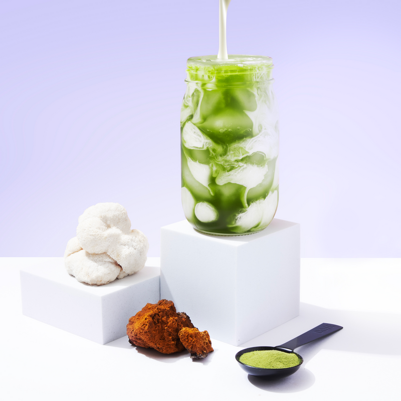 Iced mushroom matcha drink with powder scoop, white powder blocks and chaga mushroom on minimalist display setup