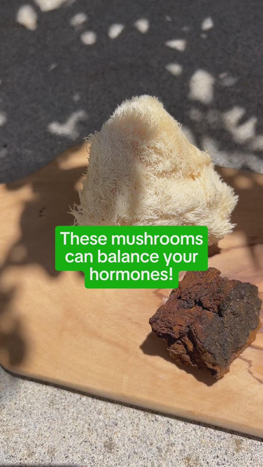 Benefits of Everyday Dose Matcha